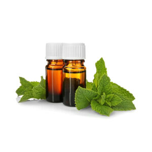 PT.-Sentral-Kimia-Indonesia-jual-Peppermint-oil